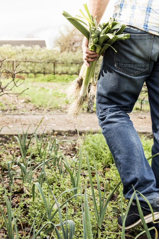 Lifestyle Photography