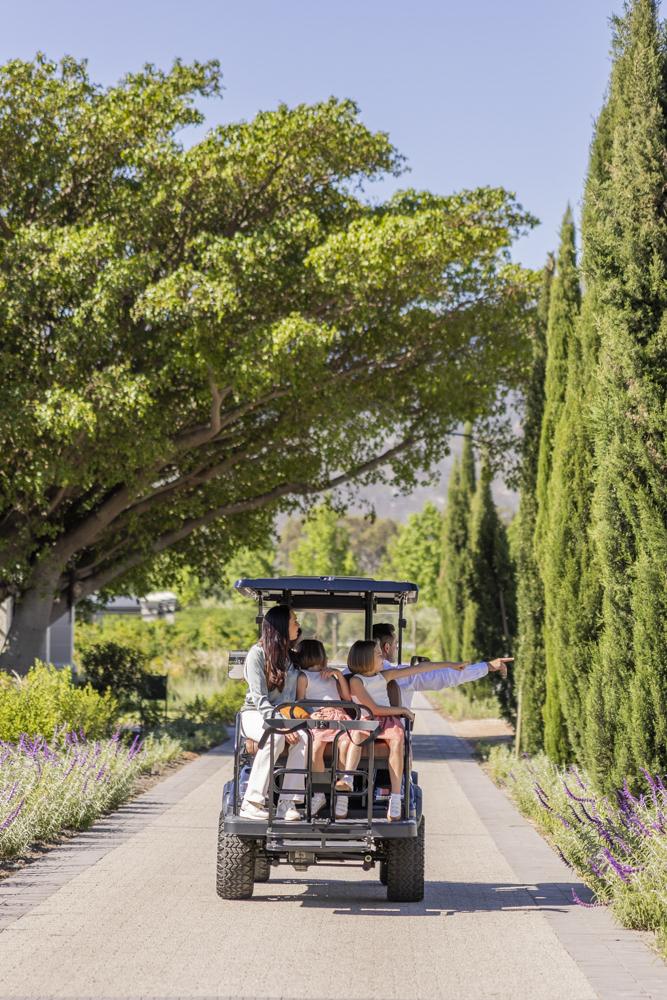 Lifestyle Photography